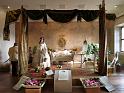 2014-03-08,_Kamelie (8)